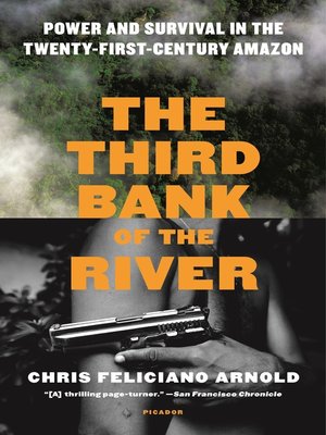 cover image of The Third Bank of the River